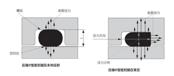 O形圈設計知識大全,也許對你有用哦~-2 O形圈設計知識大全,也許對你有用哦~